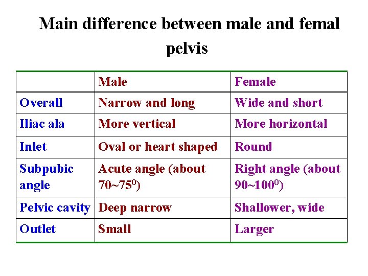 Main difference between male and femal pelvis Male Female Overall Narrow and long Wide