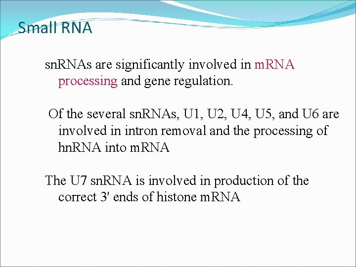 Small RNA sn. RNAs are significantly involved in m. RNA processing and gene regulation.