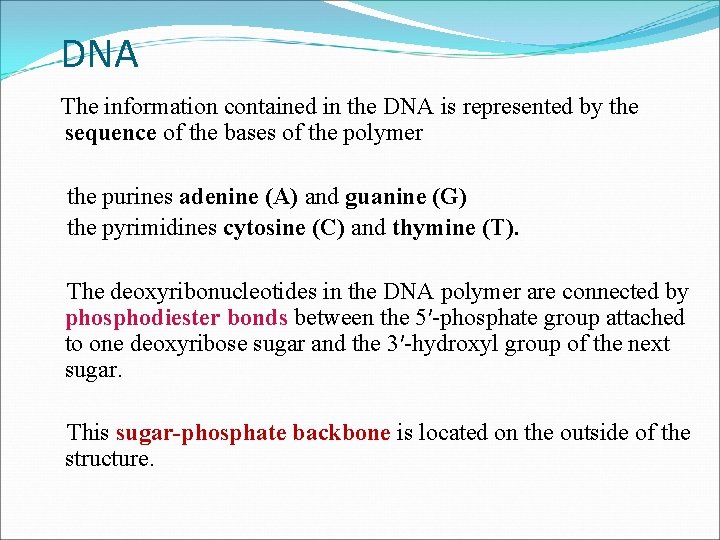 DNA The information contained in the DNA is represented by the sequence of the