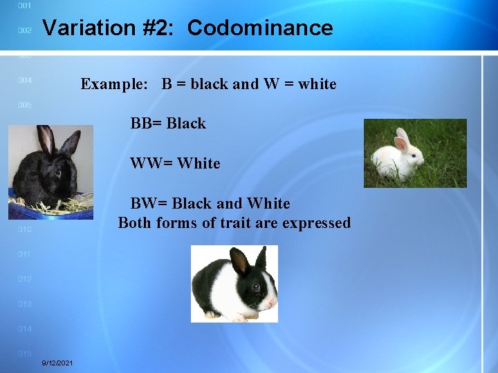 Variation #2: Codominance Example: B = black and W = white BB= Black WW=