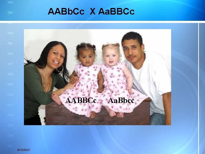 AABb. Cc X Aa. BBCc AABBCc 9/12/2021 Aa. Bbcc 