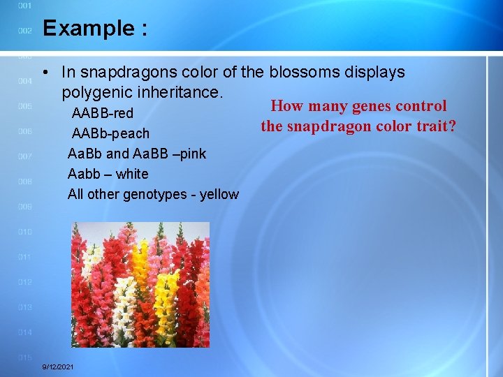 Example : • In snapdragons color of the blossoms displays polygenic inheritance. How many