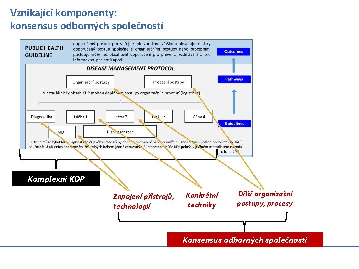 Vznikající komponenty: konsensus odborných společností Komplexní KDP Zapojení přístrojů, technologií Konkrétní techniky Dílčí organizační