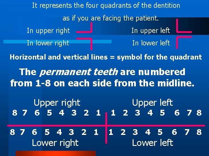 It represents the four quadrants of the dentition as if you are facing the