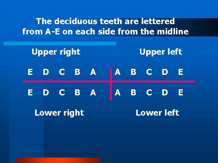 The deciduous teeth are lettered from A-E on each side from the midline Upper
