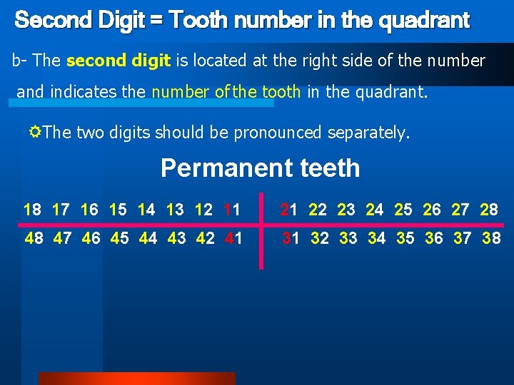 Second Digit = Tooth number in the quadrant b- The second digit is located