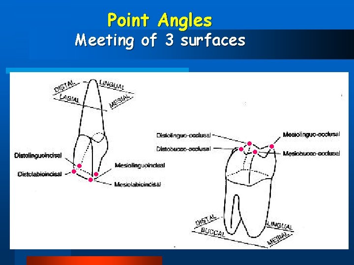 Point Angles Meeting of 3 surfaces 