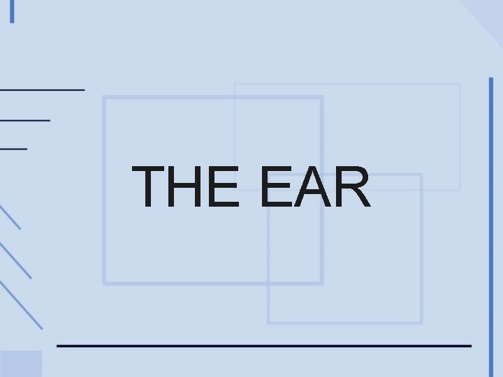 THE EAR 