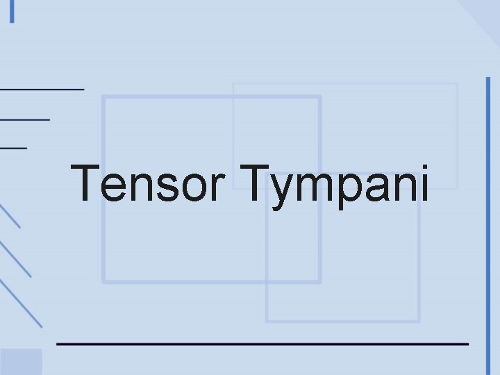 Tensor Tympani 