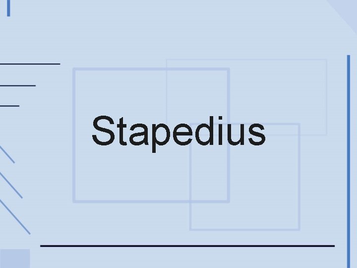 Stapedius 
