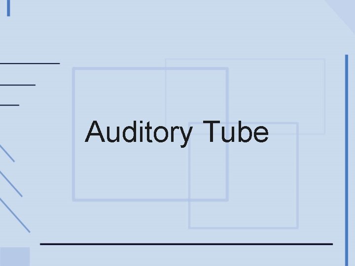 Auditory Tube 