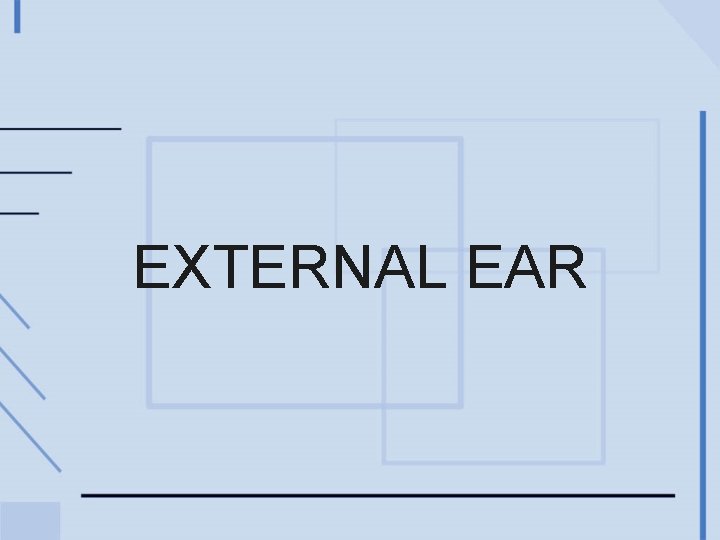 EXTERNAL EAR 