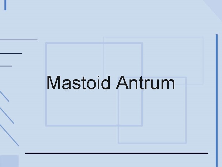 Mastoid Antrum 