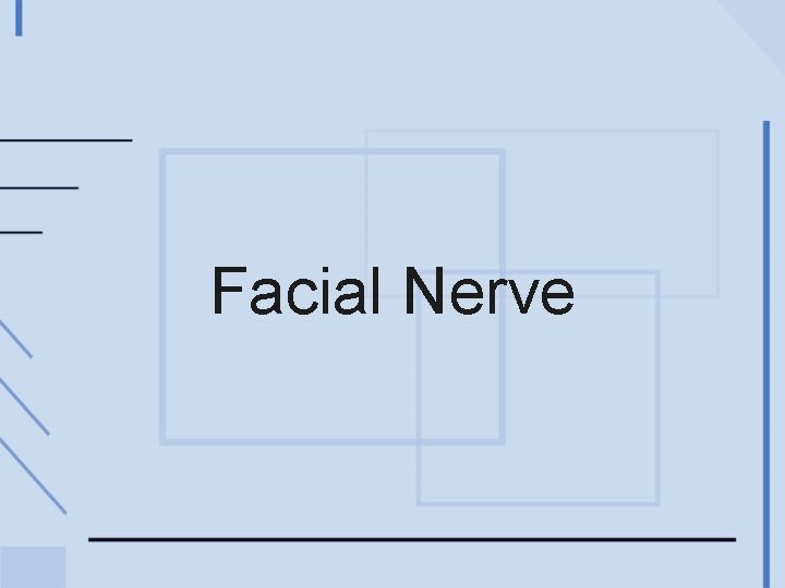 Facial Nerve 