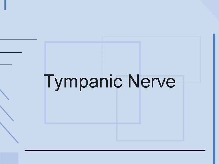 Tympanic Nerve 
