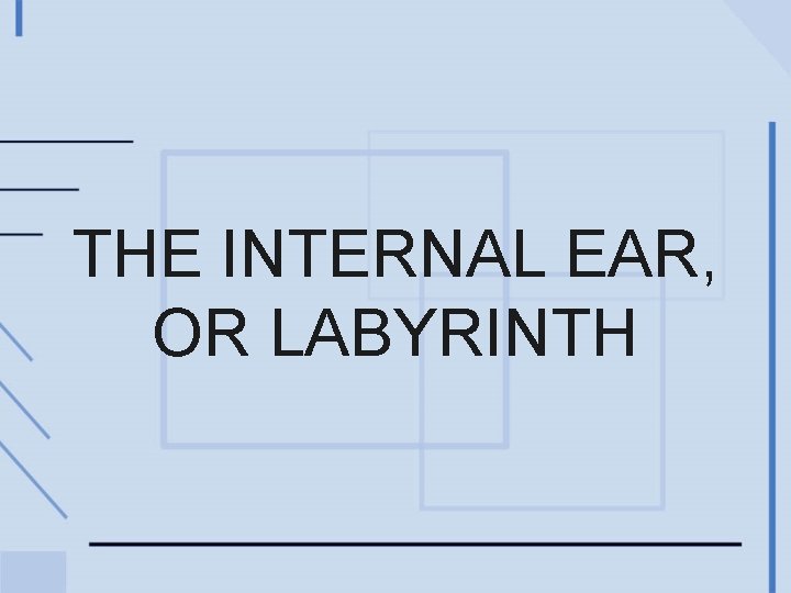 THE INTERNAL EAR, OR LABYRINTH 