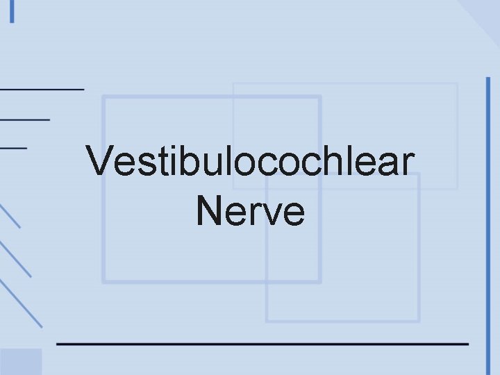 Vestibulocochlear Nerve 