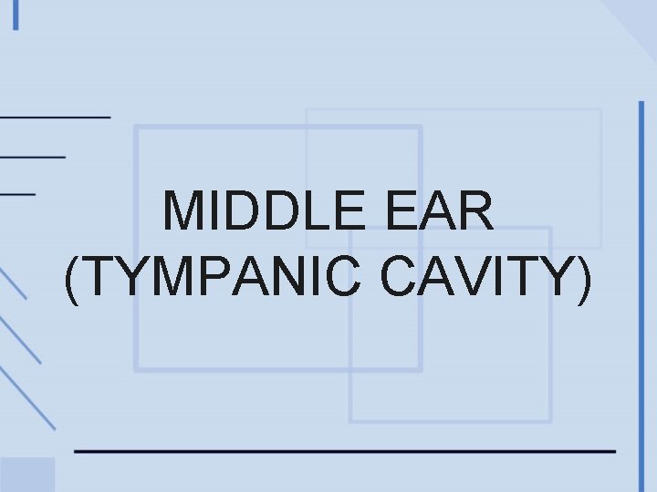MIDDLE EAR (TYMPANIC CAVITY) 