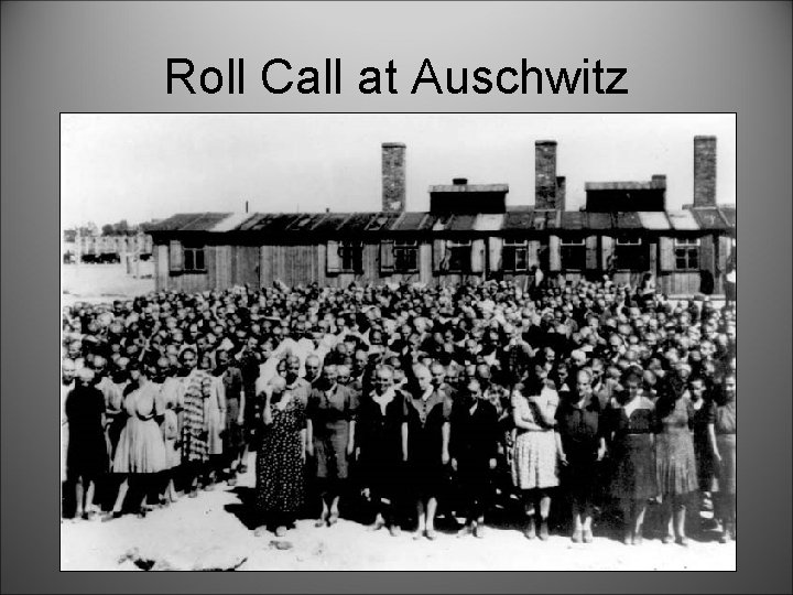 Roll Call at Auschwitz 