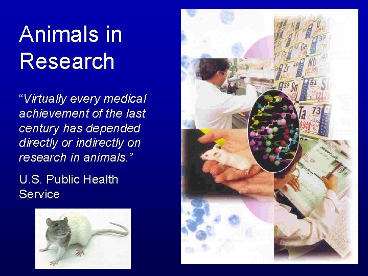 Animals in Research “Virtually every medical achievement of the last century has depended directly