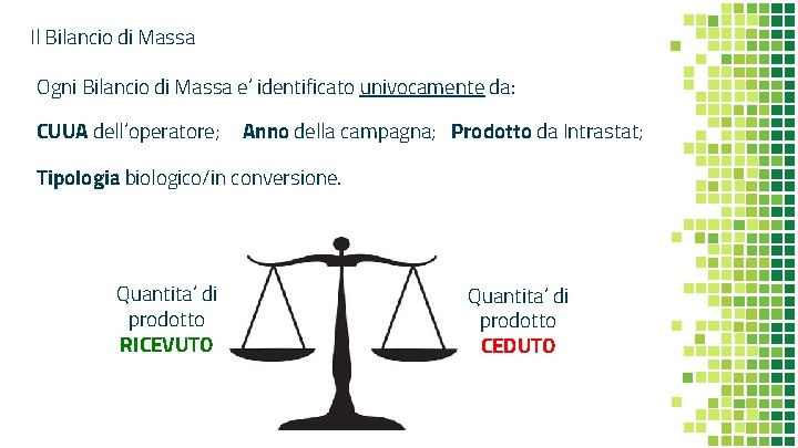 Il Bilancio di Massa Ogni Bilancio di Massa e’ identificato univocamente da: CUUA dell’operatore;