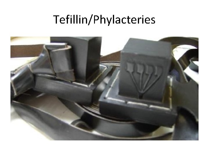 Tefillin/Phylacteries 