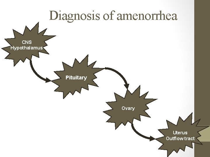 Diagnosis of amenorrhea CNS Hypothalamus Pituitary Ovary Uterus Outflow tract 