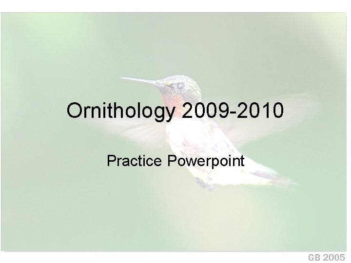 Ornithology 2009 -2010 Practice Powerpoint 