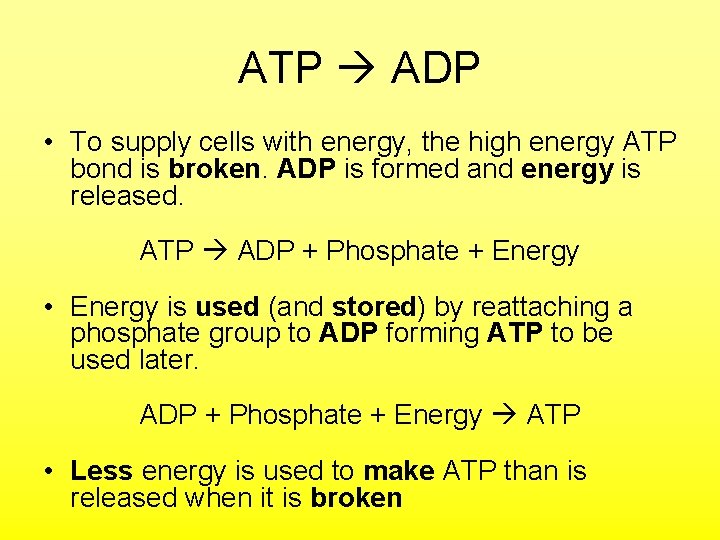 ATP ADP • To supply cells with energy, the high energy ATP bond is