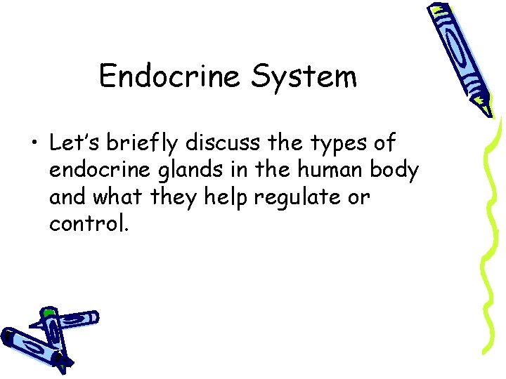 Endocrine System • Let’s briefly discuss the types of endocrine glands in the human