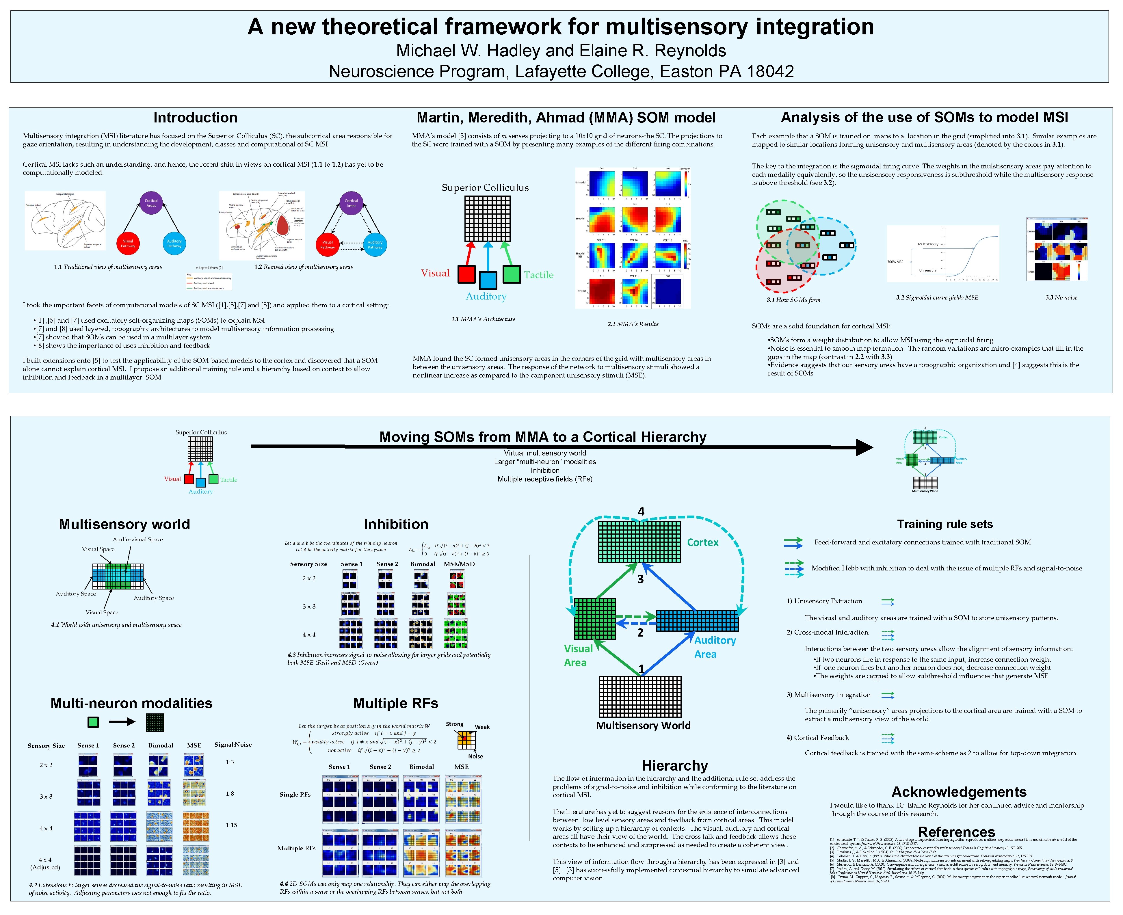 A new theoretical framework for multisensory integration Michael W. Hadley and Elaine R. Reynolds