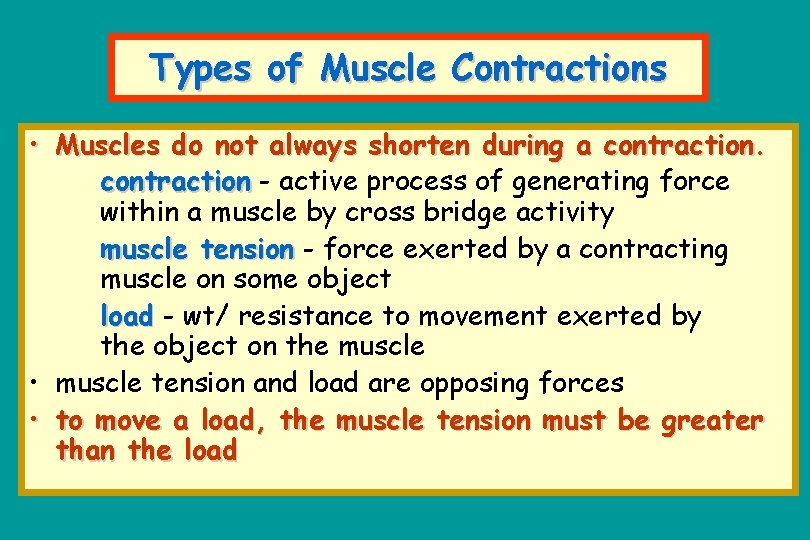 Types of Muscle Contractions • Muscles do not always shorten during a contraction -