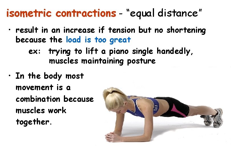 isometric contractions - “equal distance” • result in an increase if tension but no