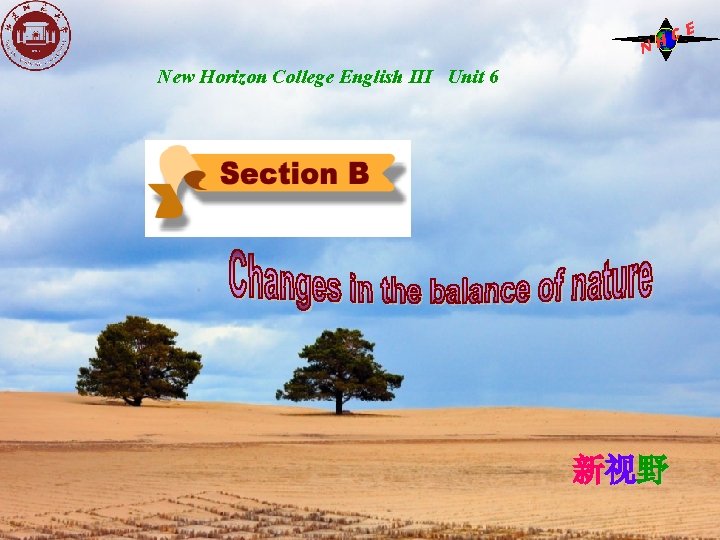C NH New Horizon College English III Unit 6 新视野 E 