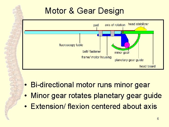 Motor & Gear Design • Bi-directional motor runs minor gear • Minor gear rotates