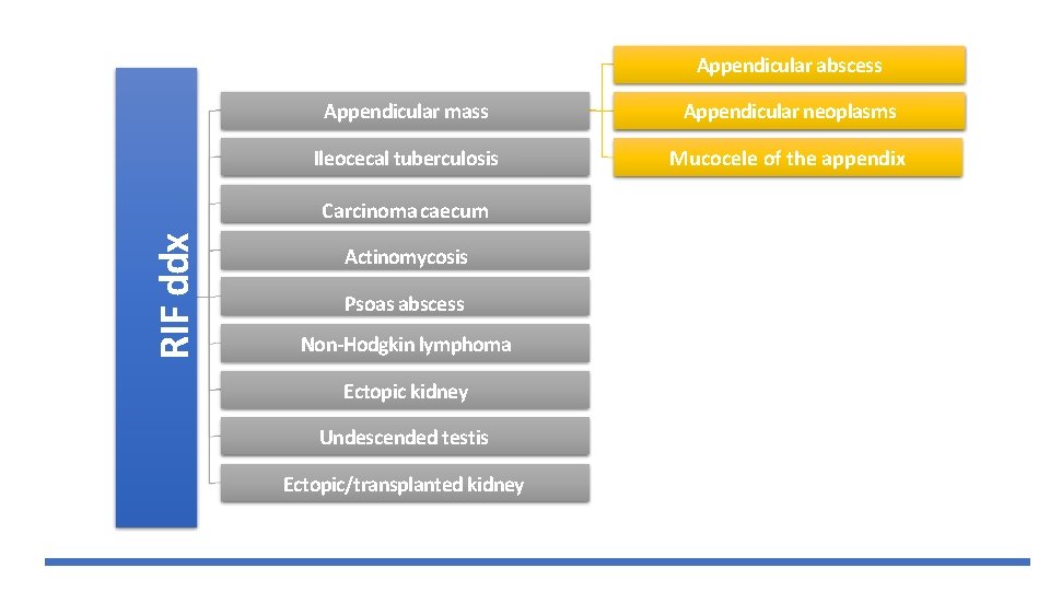 Appendicular abscess Appendicular mass Appendicular neoplasms Ileocecal tuberculosis Mucocele of the appendix RIF ddx