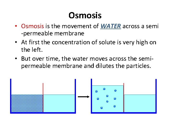 Osmosis • Osmosis is the movement of WATER across a semi -permeable membrane •