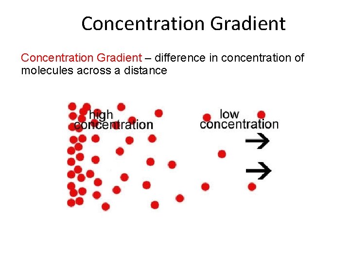 Concentration Gradient – difference in concentration of molecules across a distance 