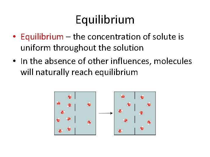 Equilibrium • Equilibrium – the concentration of solute is uniform throughout the solution •