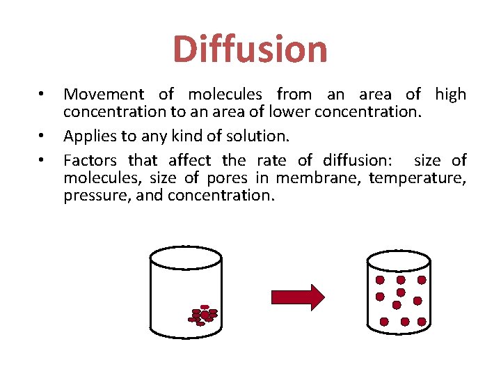Diffusion • • • Movement of molecules from an area of high concentration to