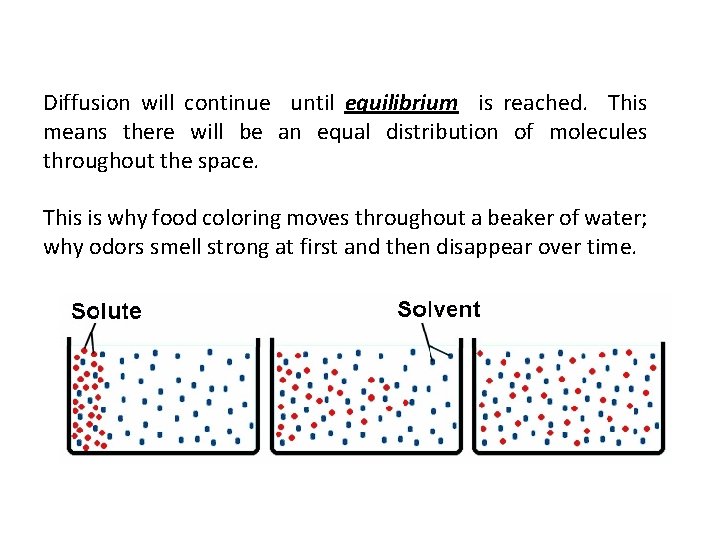 Diffusion will continue until equilibrium is reached. This means there will be an equal
