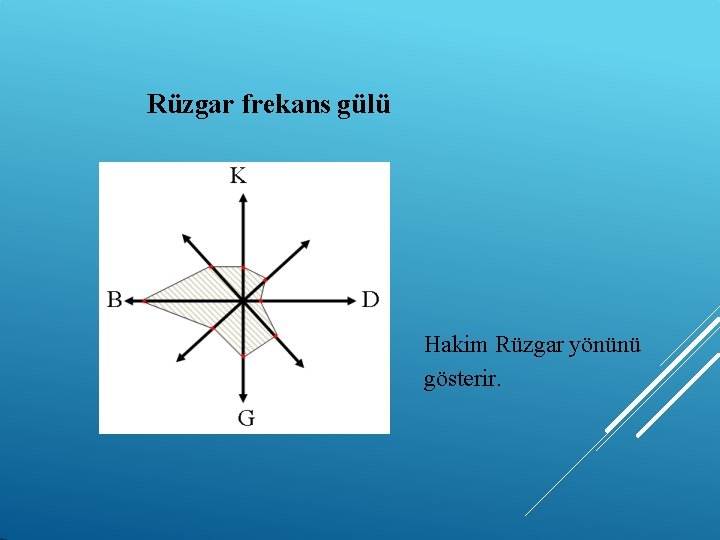 Rüzgar frekans gülü Hakim Rüzgar yönünü gösterir. 