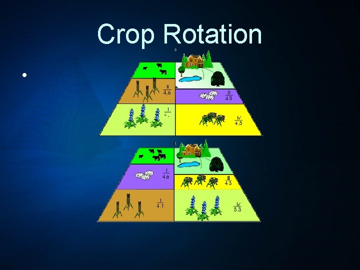 Crop Rotation • 