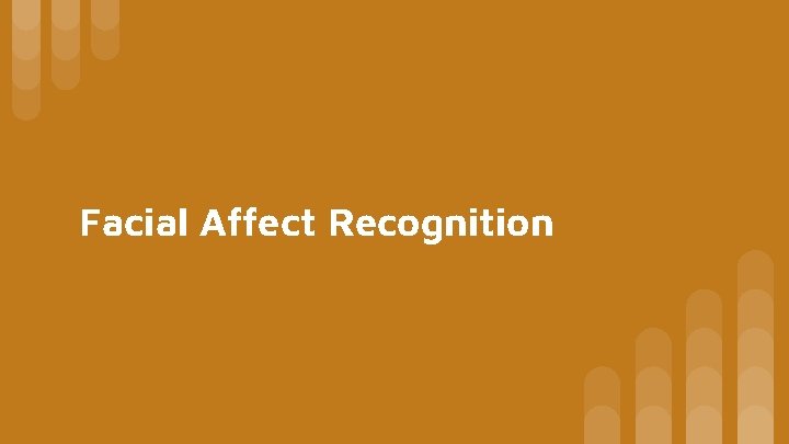 Facial Affect Recognition 