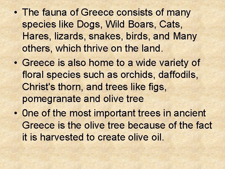 • The fauna of Greece consists of many species like Dogs, Wild Boars, • The fauna of Greece consists of many species like Dogs, Wild Boars,