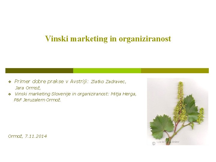 Vinski marketing in organiziranost v Primer dobre prakse v Avstriji: Zlatko Zadravec, v Jara