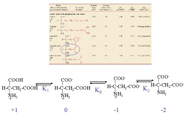 COOH H-C-CH 2 -COOH NH 3 + +1 COO- K 1 H-C-CH 2 -COOH