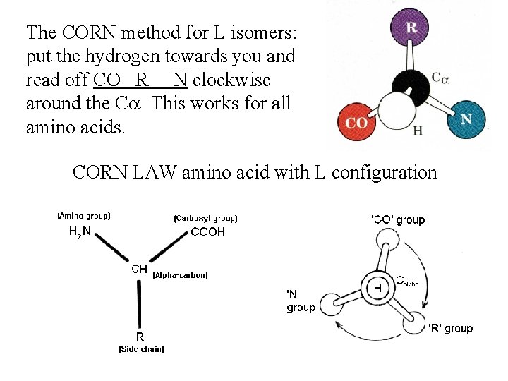 The CORN method for L isomers: put the hydrogen towards you and read off
