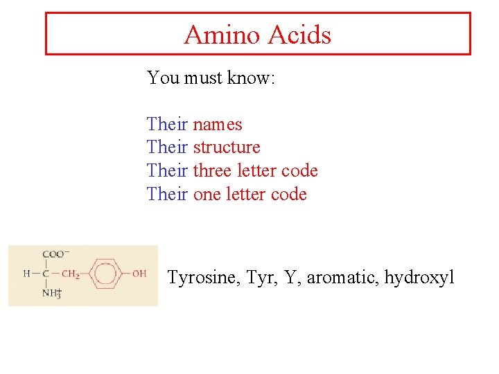 Amino Acids You must know: Their names Their structure Their three letter code Their