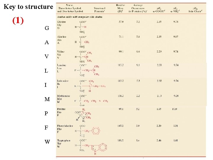 Key to structure (1) G A V L I M P F W 